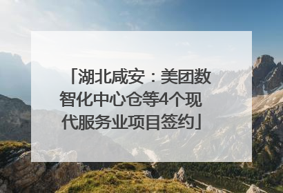 湖北咸安：美团数智化中心仓等4个现代服务业项目签约