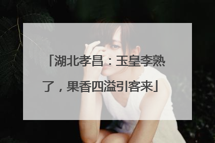 湖北孝昌：玉皇李熟了，果香四溢引客来