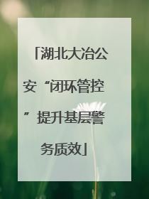 湖北大冶公安“闭环管控”提升基层警务质效