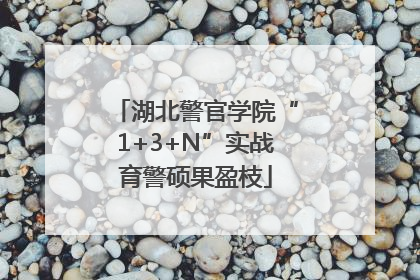 湖北警官学院“1+3+N”实战育警硕果盈枝