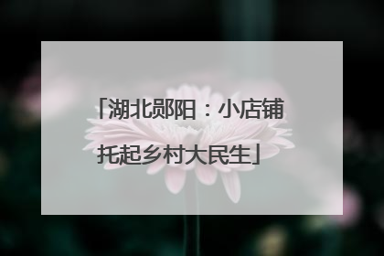 湖北郧阳：小店铺托起乡村大民生