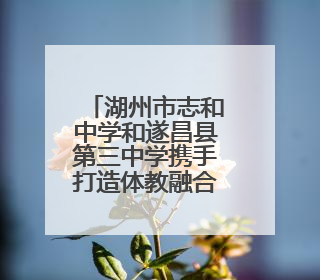 湖州市志和中学和遂昌县第三中学携手打造体教融合实践新样板