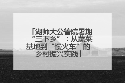 湖师大公管院暑期“三下乡”：从蔬菜基地到“慢火车”的乡村振兴实践