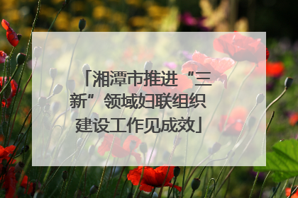 湘潭市推进“三新”领域妇联组织建设工作见成效