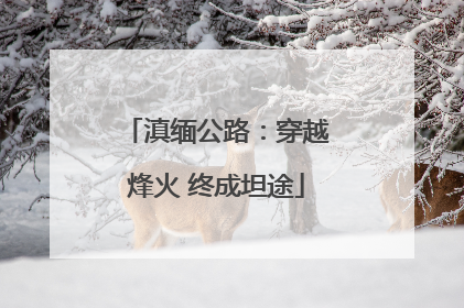 滇缅公路：穿越烽火 终成坦途