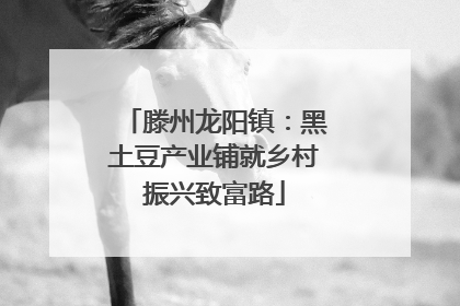 滕州龙阳镇：黑土豆产业铺就乡村振兴致富路