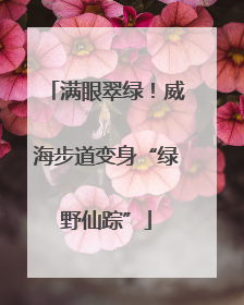 满眼翠绿！威海步道变身“绿野仙踪”