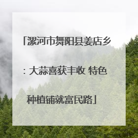 漯河市舞阳县姜店乡：大蒜喜获丰收 特色种植铺就富民路