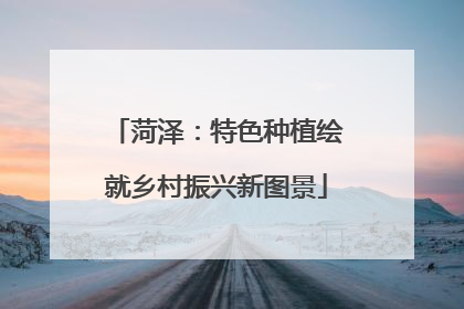 菏泽：特色种植绘就乡村振兴新图景