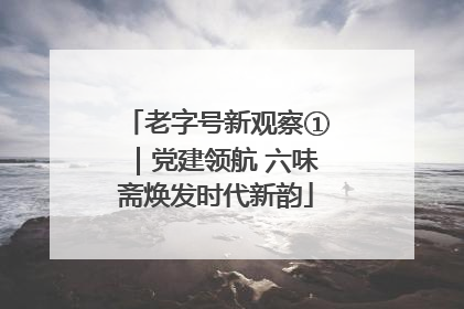 老字号新观察①｜党建领航 六味斋焕发时代新韵