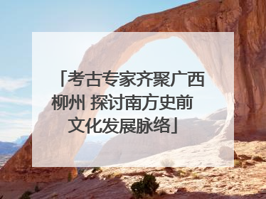 考古专家齐聚广西柳州 探讨南方史前文化发展脉络