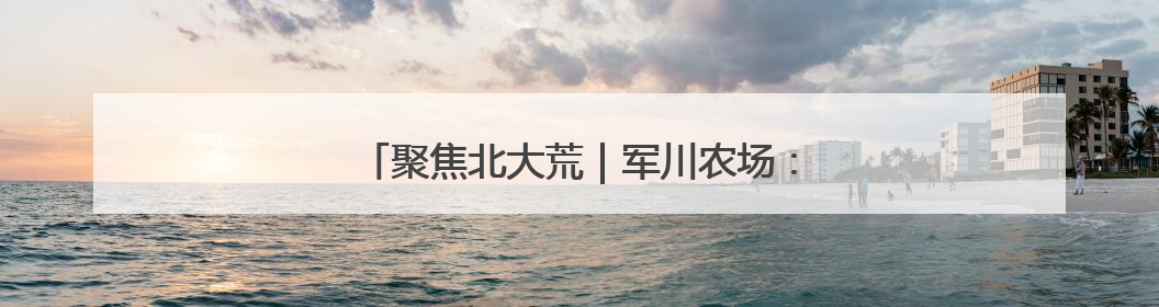 聚焦北大荒｜军川农场：智能喷药护航大豆丰收