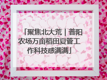 聚焦北大荒｜普阳农场万亩稻田夏管工作科技感满满