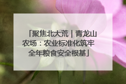 聚焦北大荒｜青龙山农场：农业标准化筑牢全年粮食安全根基