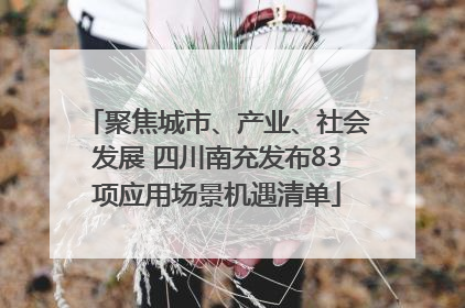 聚焦城市、产业、社会发展 四川南充发布83项应用场景机遇清单