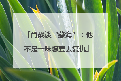 肖战谈“藏海”：他不是一味想要去复仇