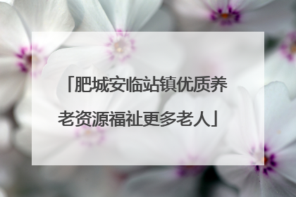 肥城安临站镇优质养老资源福祉更多老人