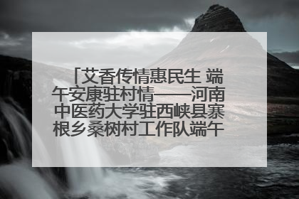 艾香传情惠民生 端午安康驻村情——河南中医药大学驻西峡县寨根乡桑树村工作队端午中医惠民记