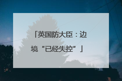 英国防大臣：边境“已经失控”