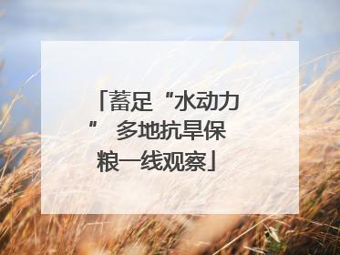 蓄足“水动力” 多地抗旱保粮一线观察
