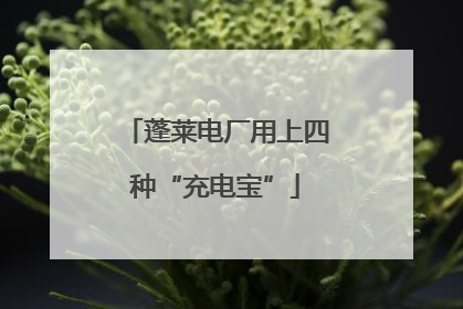 蓬莱电厂用上四种“充电宝”