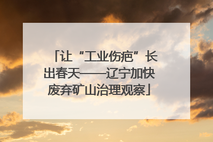 让“工业伤疤”长出春天——辽宁加快废弃矿山治理观察
