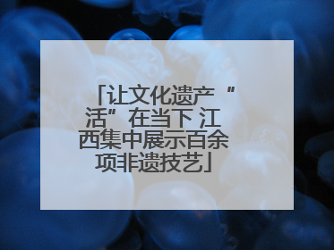 让文化遗产“活”在当下 江西集中展示百余项非遗技艺