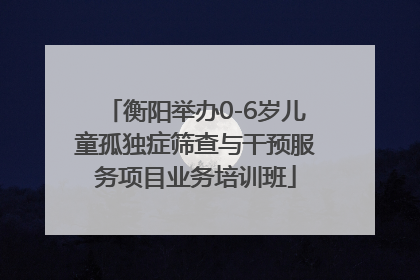 衡阳举办0-6岁儿童孤独症筛查与干预服务项目业务培训班