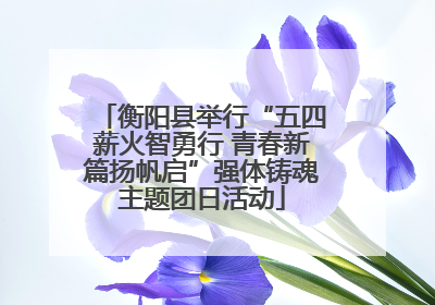 衡阳县举行“五四薪火智勇行 青春新篇扬帆启”强体铸魂主题团日活动