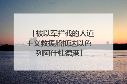 被以军拦截的人道主义救援船抵达以色列阿什杜德港