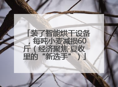 装了智能烘干设备，每吨小麦减损60斤（经济聚焦·夏收里的“新选手”）