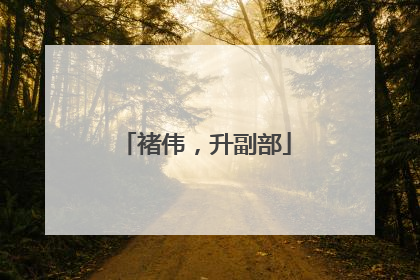 褚伟，升副部