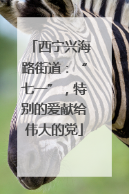 西宁兴海路街道：“七一”，特别的爱献给伟大的党