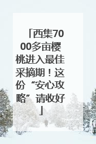 西集7000多亩樱桃进入最佳采摘期！这份“安心攻略”请收好
