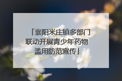 襄阳米庄镇多部门联动开展青少年药物滥用防范宣传