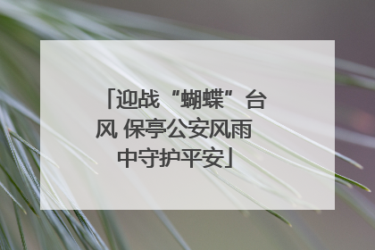迎战“蝴蝶”台风 保亭公安风雨中守护平安