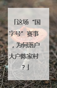 这场“国字号”赛事，为何落户大户陈家村？