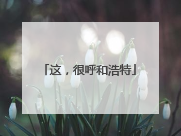 这,很呼和浩特