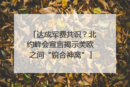 达成军费共识？北约峰会宣言揭示美欧之间“貌合神离”
