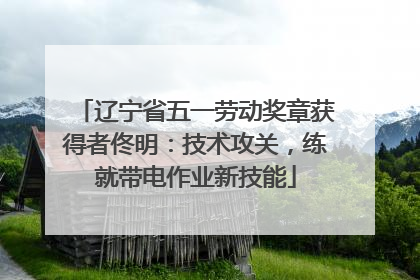 辽宁省五一劳动奖章获得者佟明：技术攻关，练就带电作业新技能