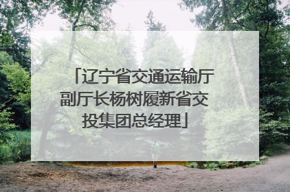 辽宁省交通运输厅副厅长杨树履新省交投集团总经理