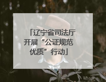 辽宁省司法厅开展“公证规范优质”行动