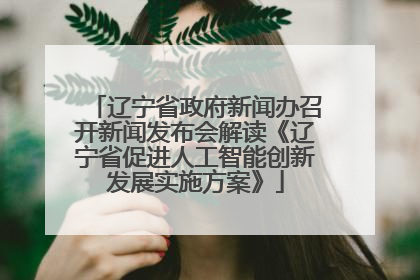 辽宁省政府新闻办召开新闻发布会解读《辽宁省促进人工智能创新发展实施方案》