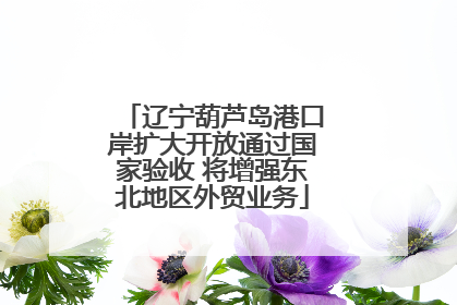 辽宁葫芦岛港口岸扩大开放通过国家验收 将增强东北地区外贸业务