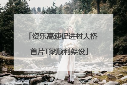 资乐高速促进村大桥首片T梁顺利架设