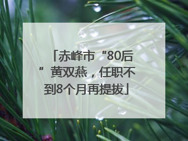 赤峰市“80后”黄双燕，任职不到8个月再提拔