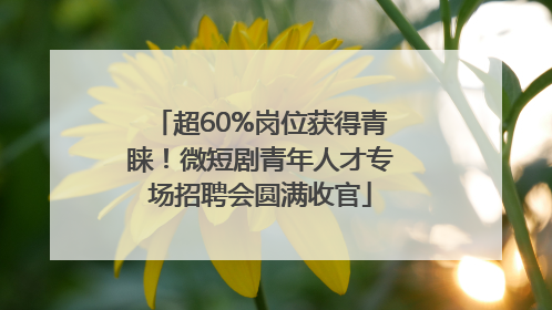 超60%岗位获得青睐！微短剧青年人才专场招聘会圆满收官