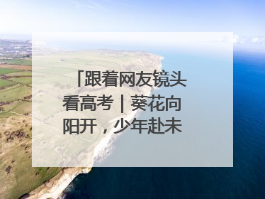 跟着网友镜头看高考｜葵花向阳开，少年赴未来，安乡高考首日的希望图景