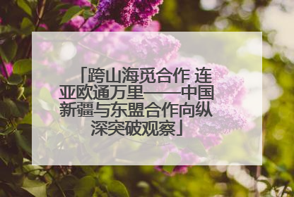 跨山海觅合作 连亚欧通万里——中国新疆与东盟合作向纵深突破观察