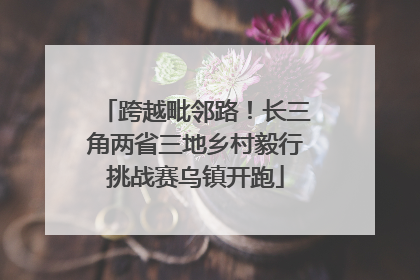 跨越毗邻路！长三角两省三地乡村毅行挑战赛乌镇开跑